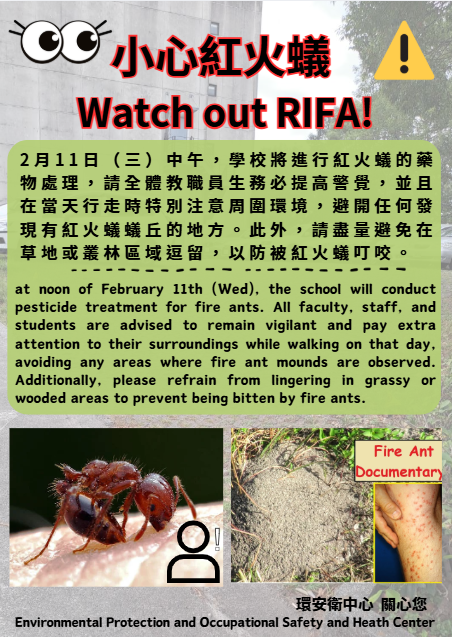 紅火蟻施作.png